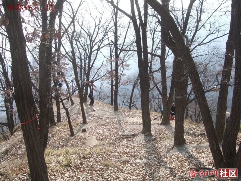 DSCF4151.JPG