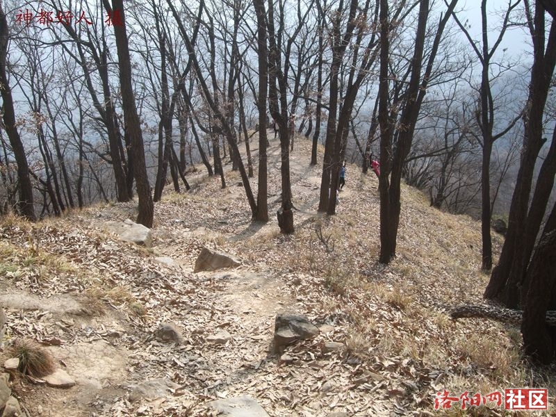 DSCF4152.JPG