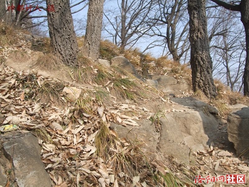 DSCF4153.JPG