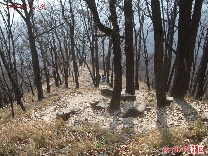 DSCF4155.JPG