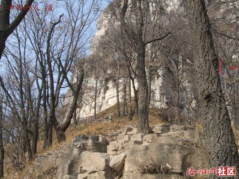 DSCF4156.JPG
