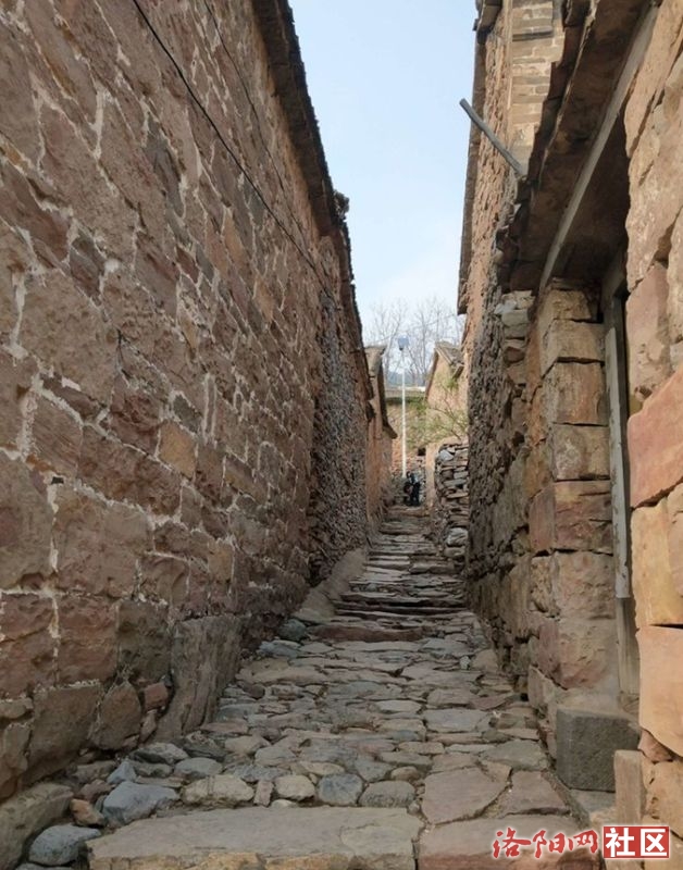 59.jpg