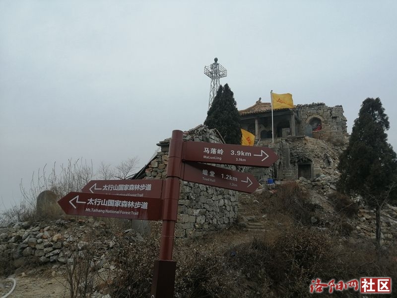 06.jpg