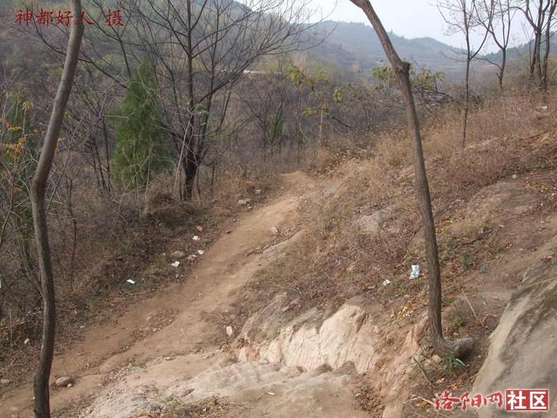 DSCF4021.JPG