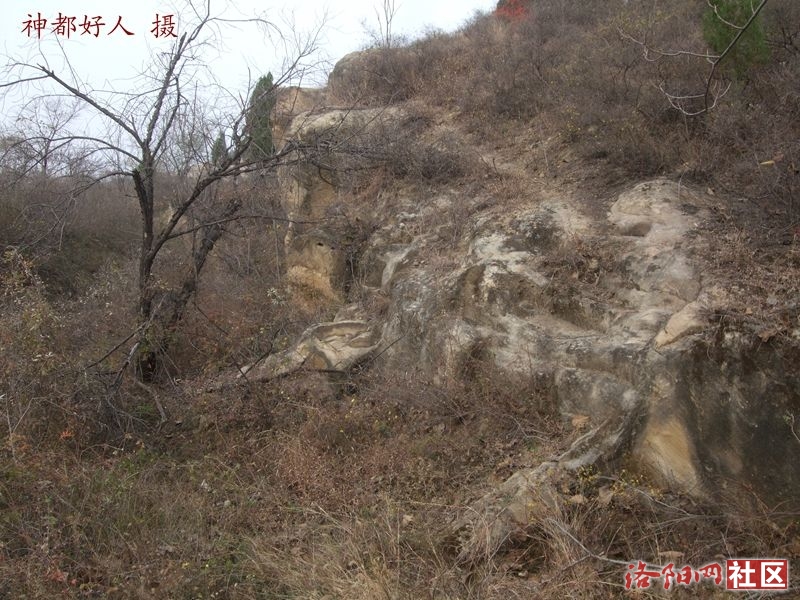 DSCF4082.JPG