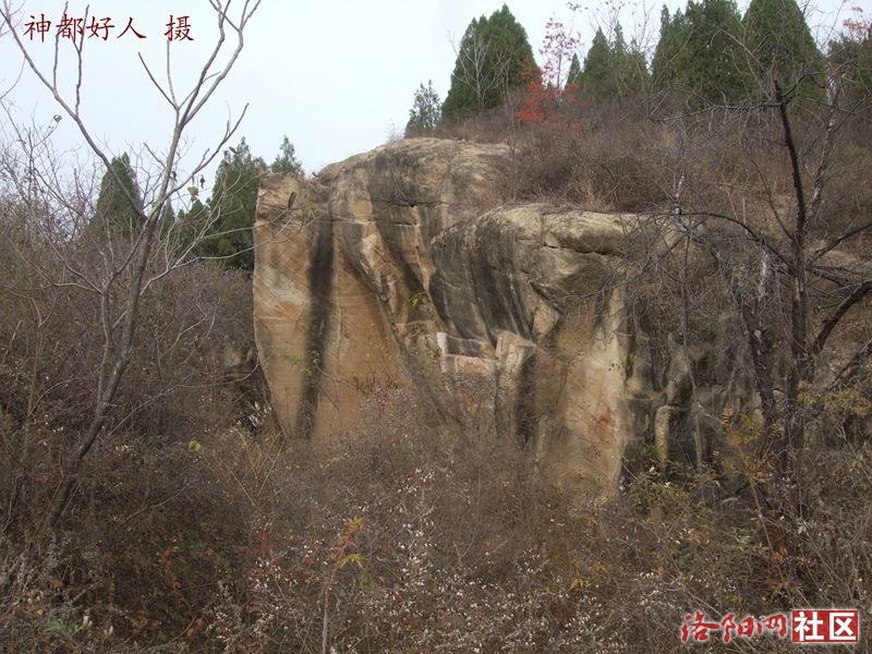 DSCF4087.JPG