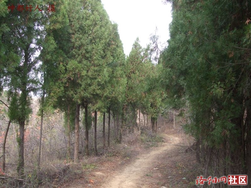 DSCF4092.JPG