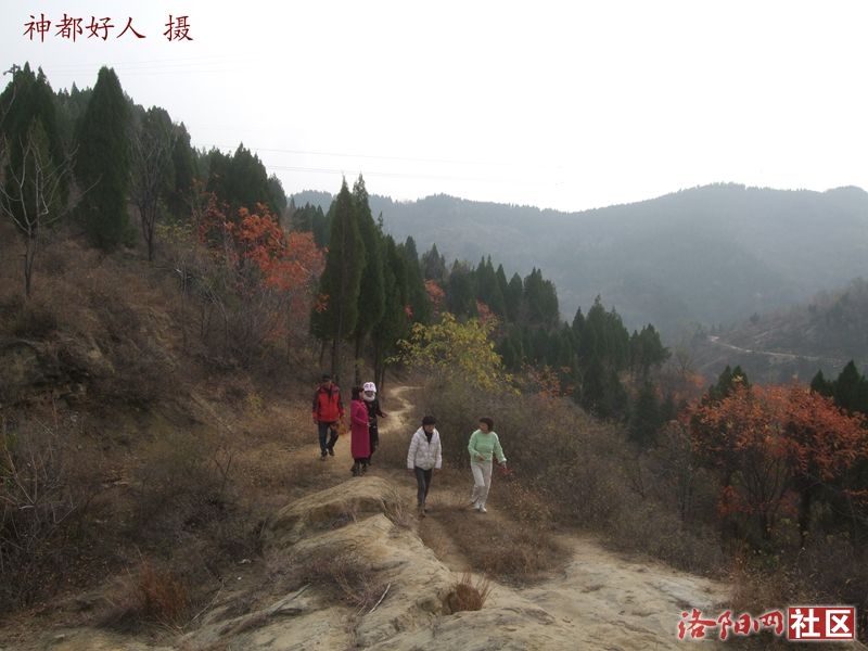 DSCF4096.JPG
