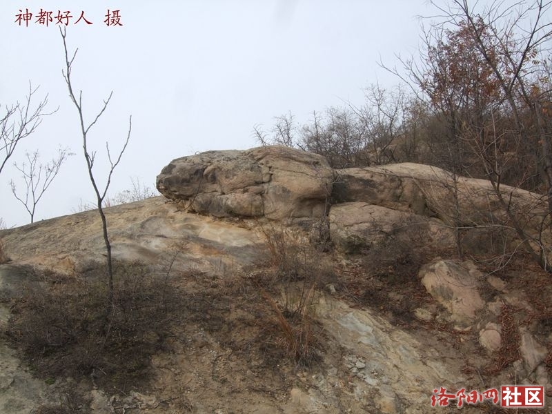 DSCF4098.JPG