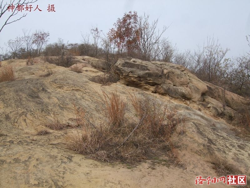 DSCF4099.JPG