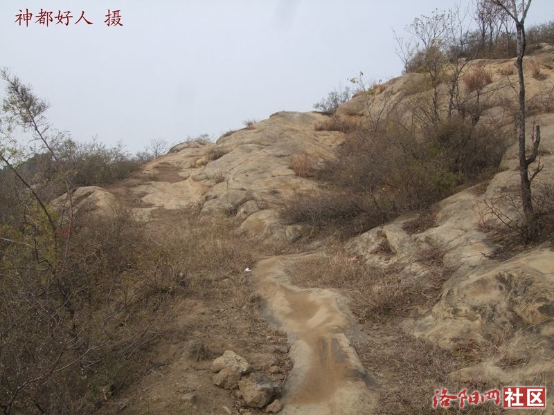 DSCF4101.JPG