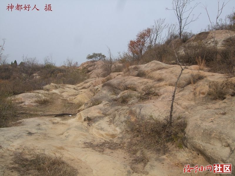DSCF4102.JPG