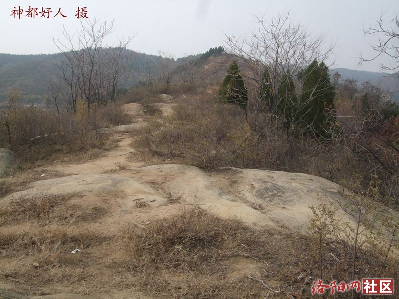 DSCF4111.JPG