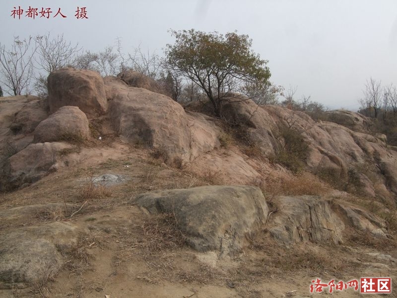 DSCF4119.JPG
