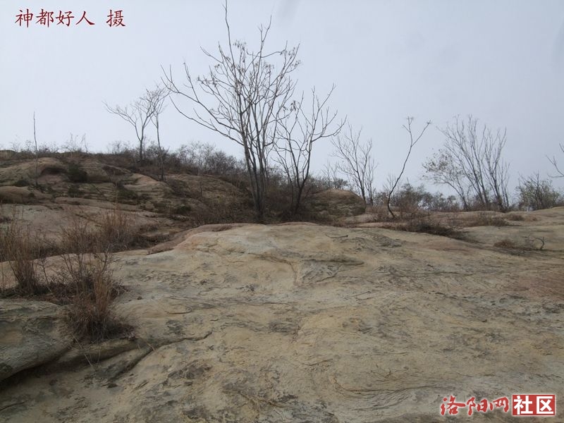 DSCF4129.JPG