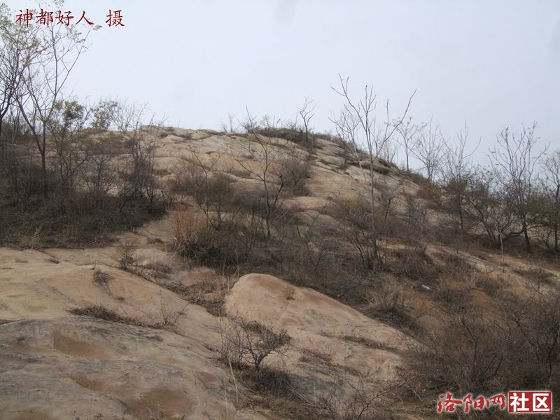 DSCF4130.JPG