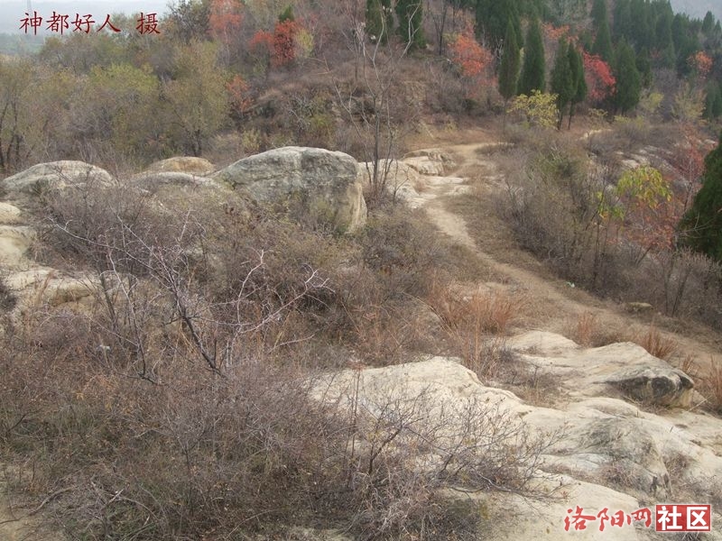 DSCF4131.JPG