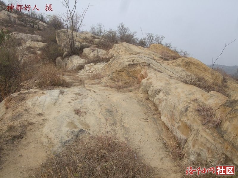 DSCF4136.JPG