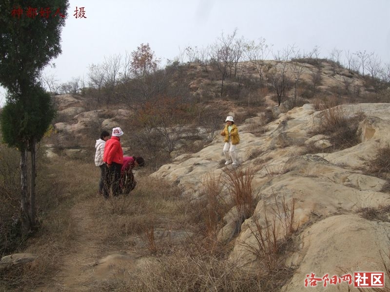 DSCF4137.JPG