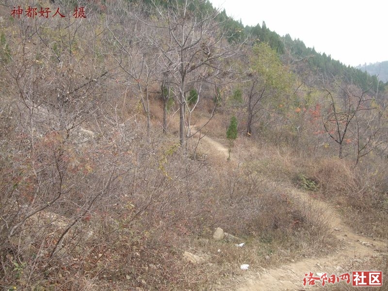 DSCF4143.JPG