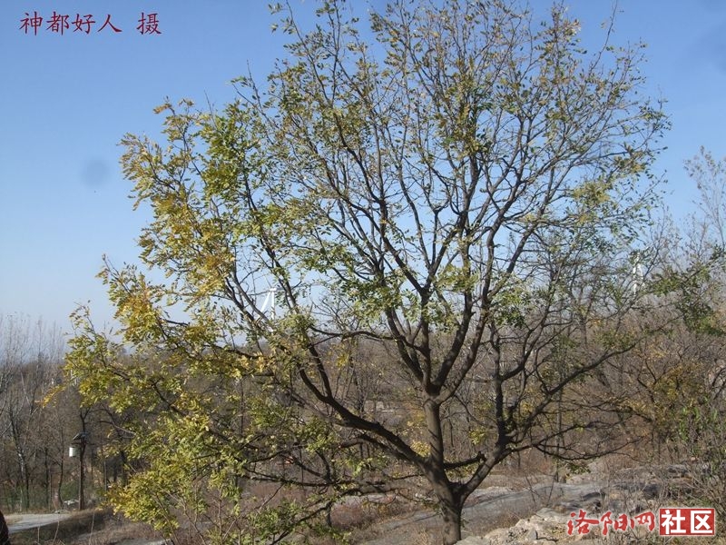 DSCF4029.JPG