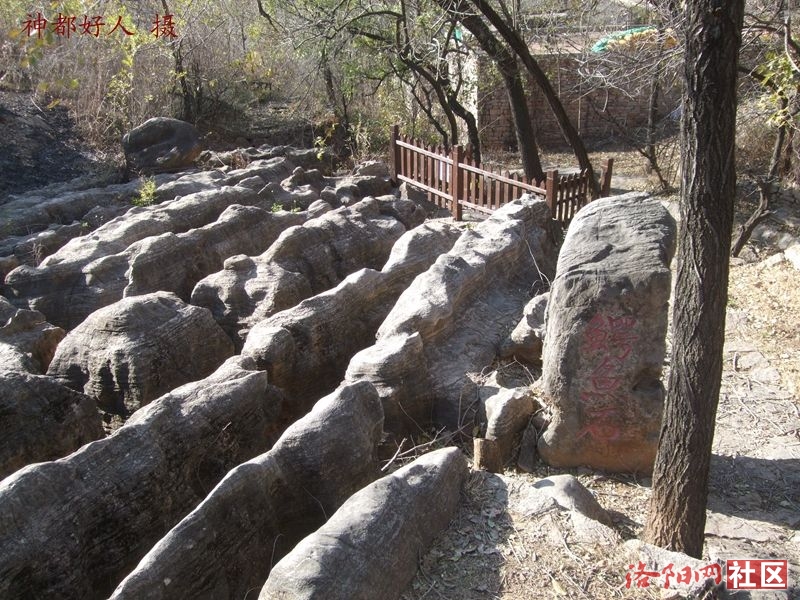 DSCF4030.JPG