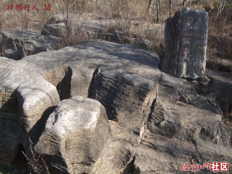 DSCF4032.JPG