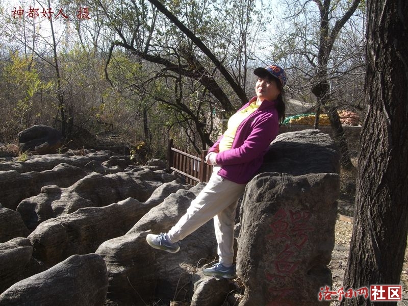 DSCF4036.JPG