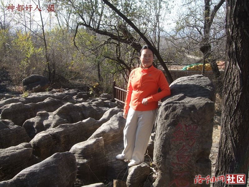 DSCF4038.JPG