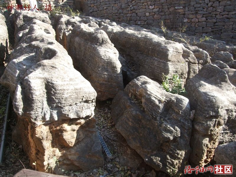 DSCF4045.JPG