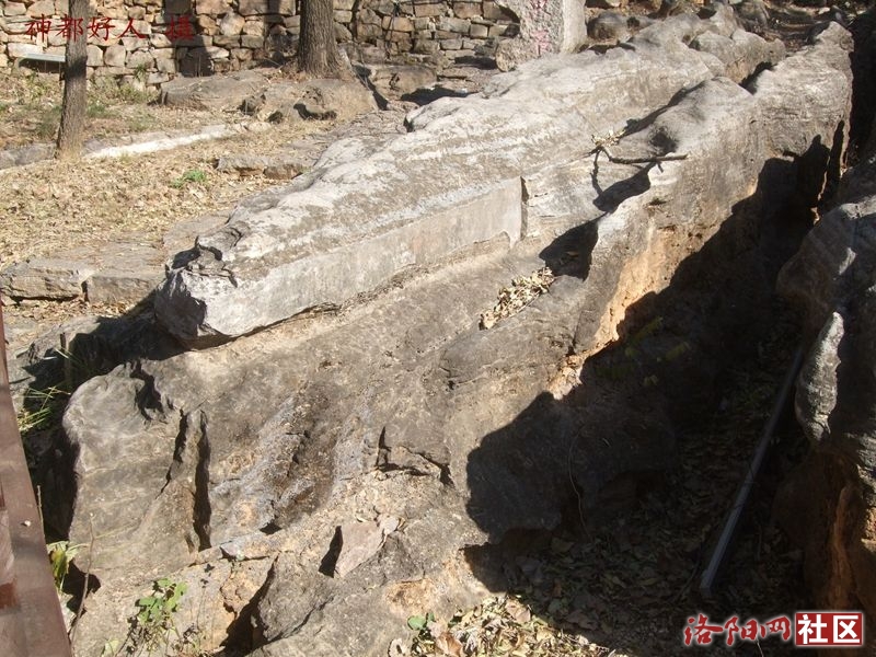 DSCF4046.JPG