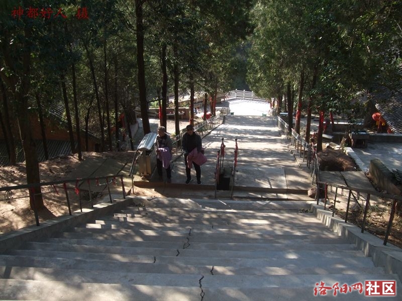 DSCF4119.JPG