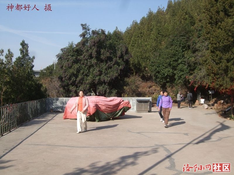 DSCF4121.JPG