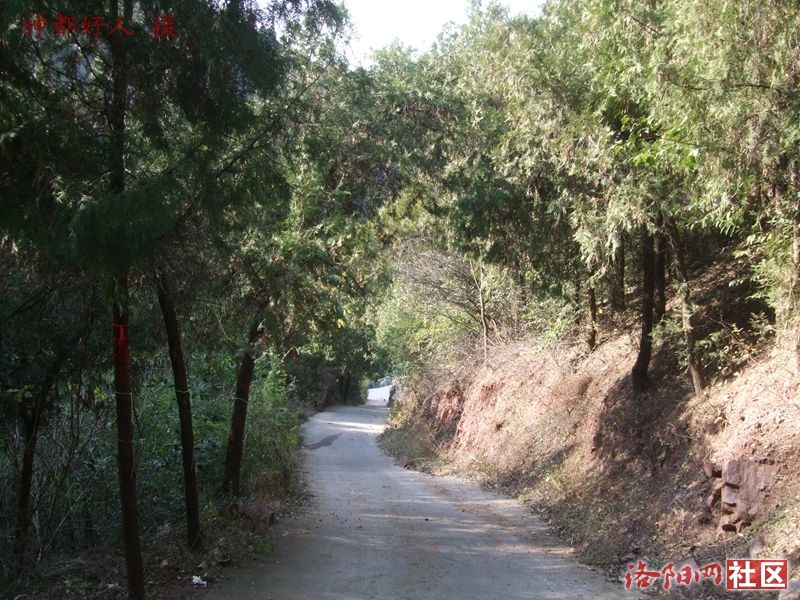 DSCF4128.JPG