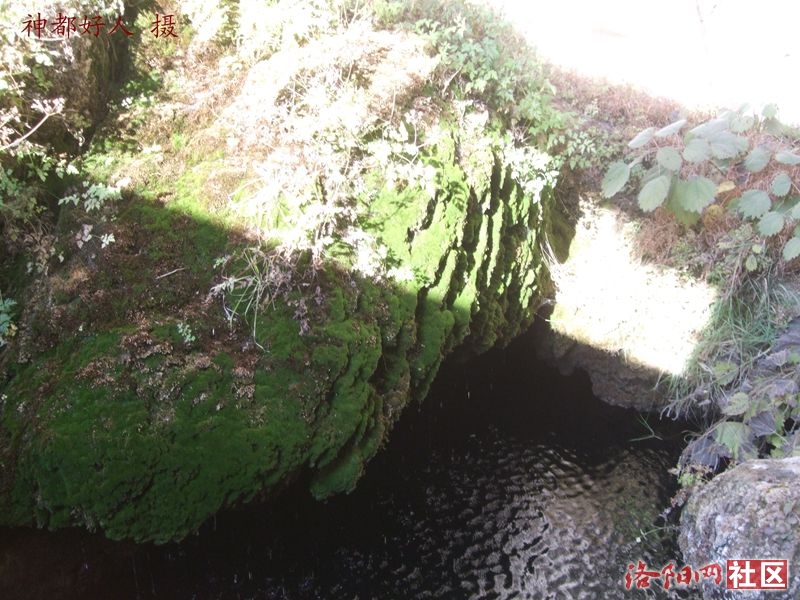 DSCF4033.JPG