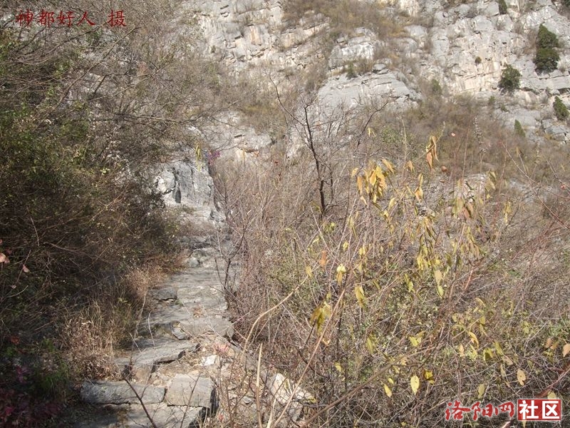 DSCF4101.JPG