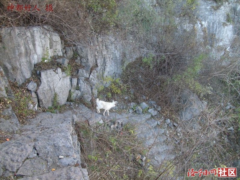 DSCF4102.JPG