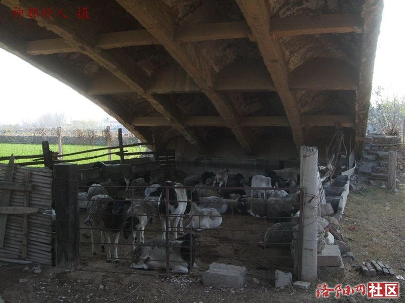 DSCF4126.JPG