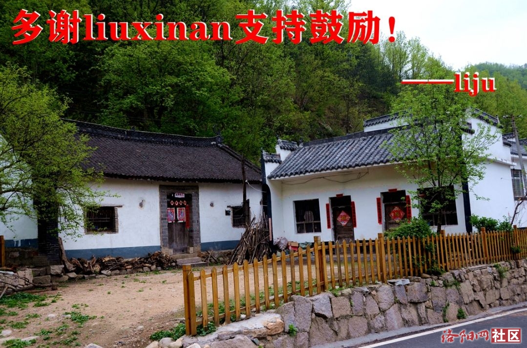 194liuxinan.ɽ磩.jpg