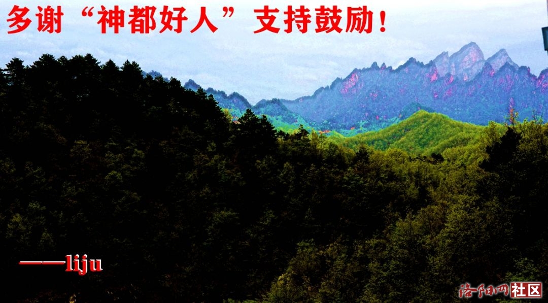 198񶼺.ɽ磩.jpg