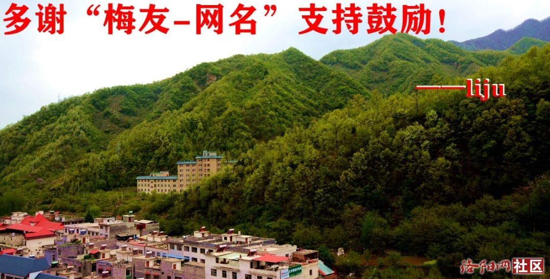 196÷=.ɽ磩.jpg