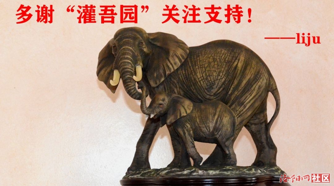 202԰.ɽ磩.jpg