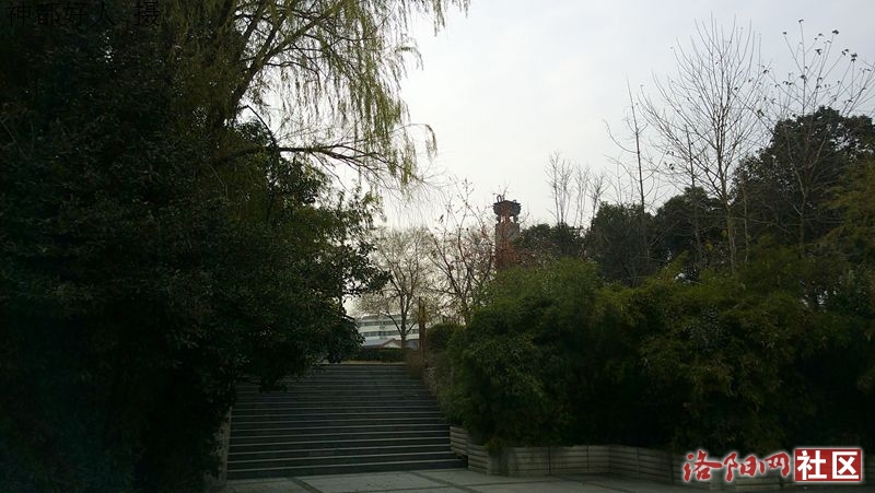 DSCF0007.JPG