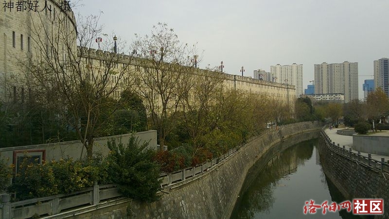 DSCF0013.JPG