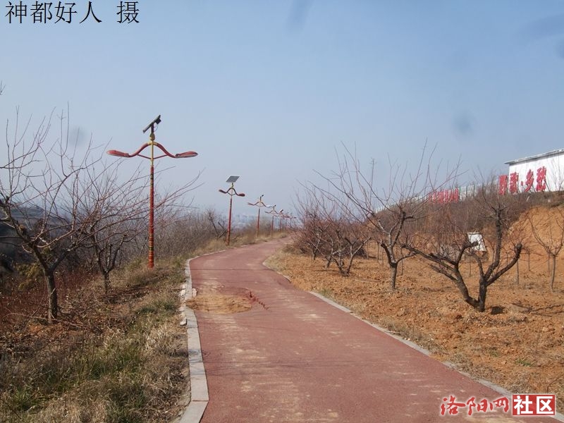 DSCF4037.JPG