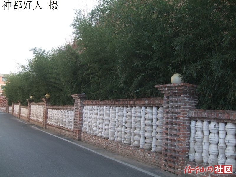 DSCF4050.JPG