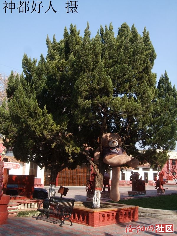 DSCF4060.JPG