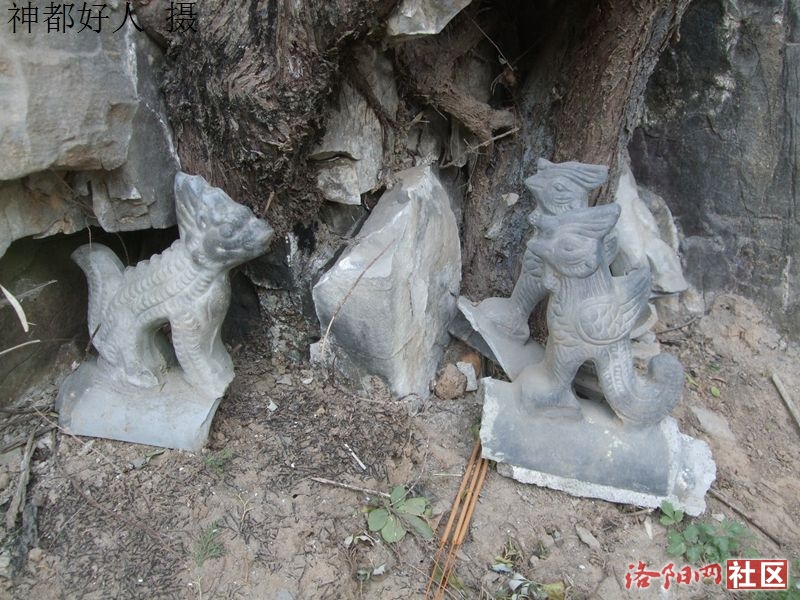 DSCF4026.JPG