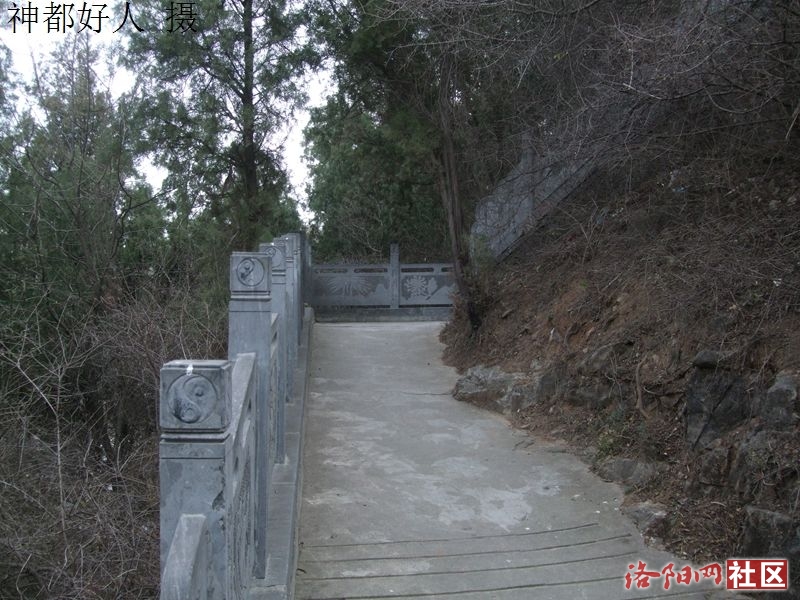 DSCF4034.JPG