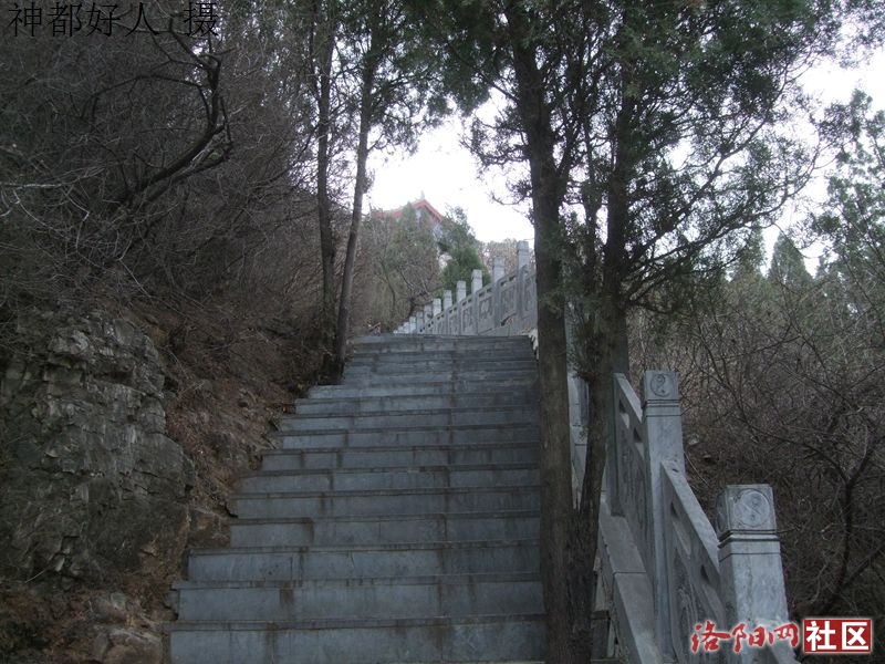 DSCF4035.JPG